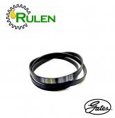 пас 0285263 (R269531, R181918, R128210, HXE80480, R269530)  (Gates, США)